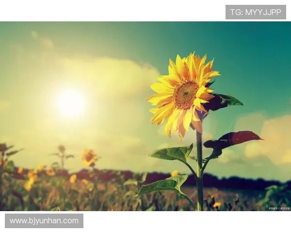 李泓澎的成长之路与艺术追求探讨人生的意义与价值