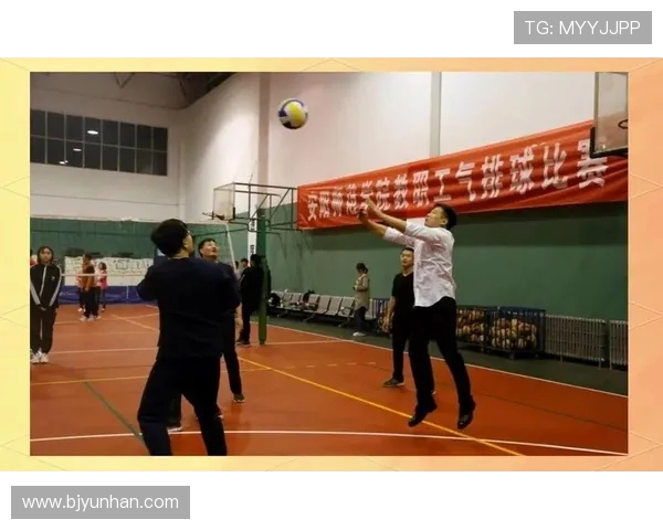 广州排球队的意识提升与团队协作探讨聚焦排球发展新方向