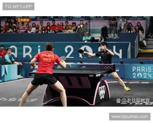 深入探讨上海乒乓球队员个人能力差异及其对团队表现的影响分析