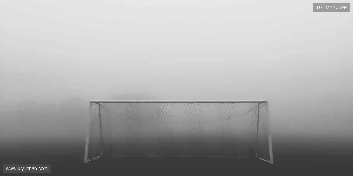 📺 高清直播，实时互动！不错过每一个心跳瞬间！